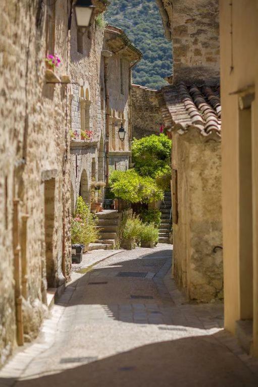 Charmante Maison A Saint Guilhem Le Desert מראה חיצוני תמונה